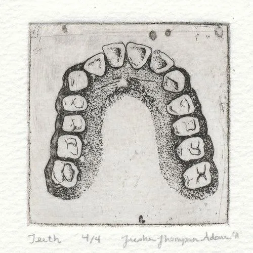 Gravura em metal de uma arcada dentária vista de cima, assinada pela artista